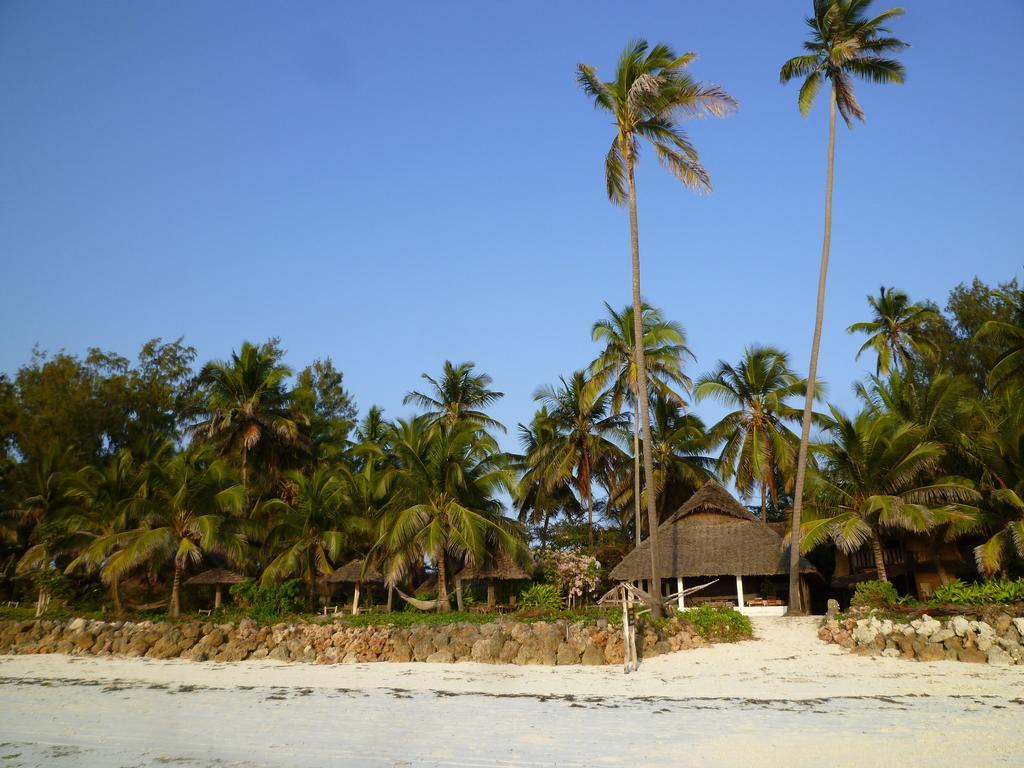 Paradise Beach Bungalows Paje Room photo